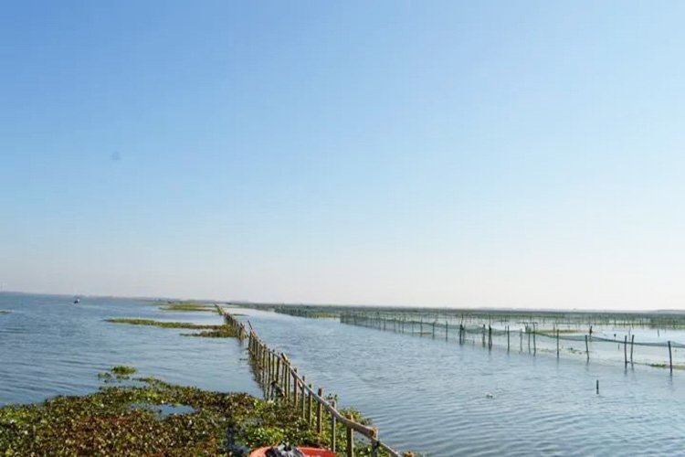 阳澄湖养殖基地