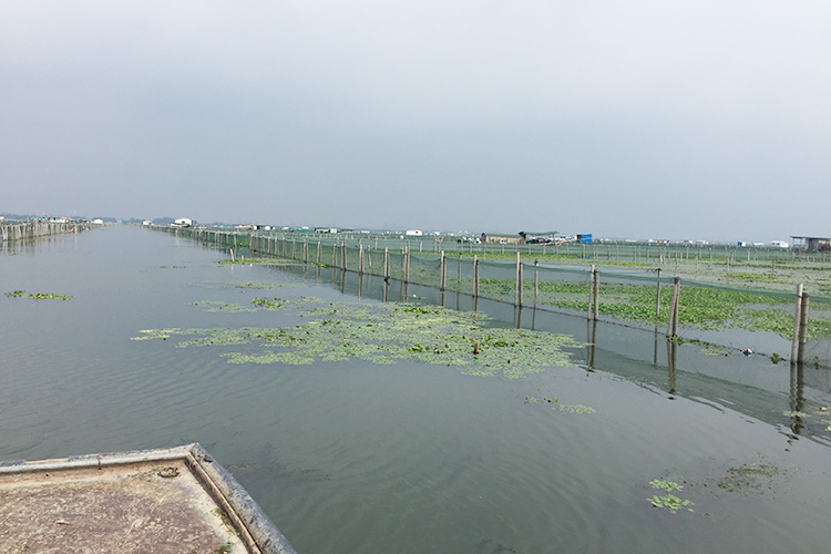 阳澄湖养殖基地