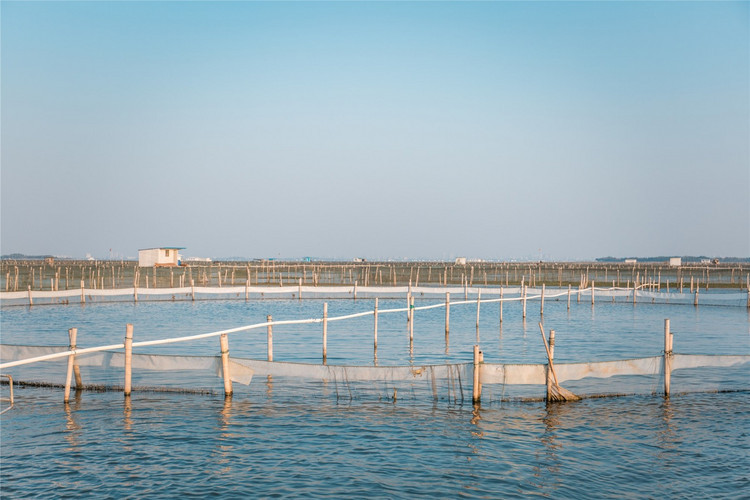 阳澄湖养殖基地