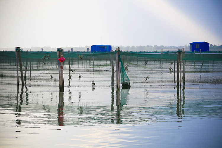 阳澄湖养殖基地
