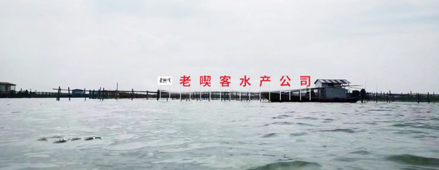 金澄牌大闸蟹 金澄牌大闸蟹